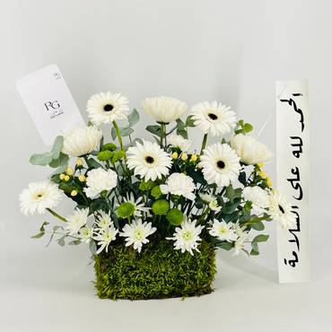 صورة مصغرة 3