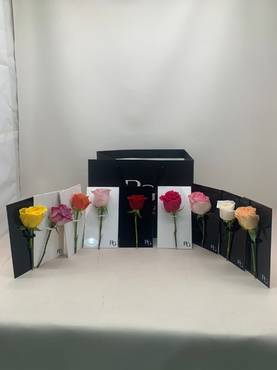 صورة مصغرة 3