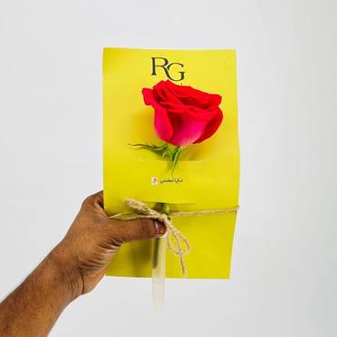 صورة مصغرة 2