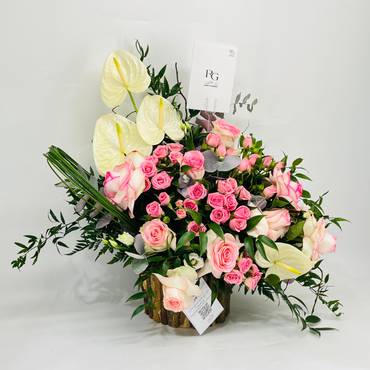 صورة مصغرة 2