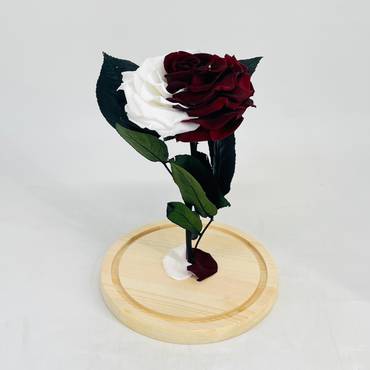 صورة مصغرة 3