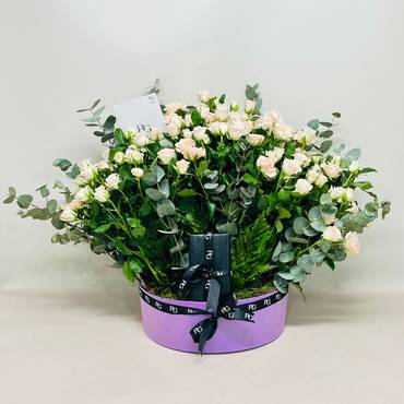 صورة مصغرة 1