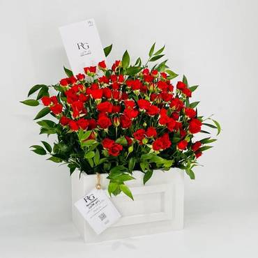 صورة مصغرة 2