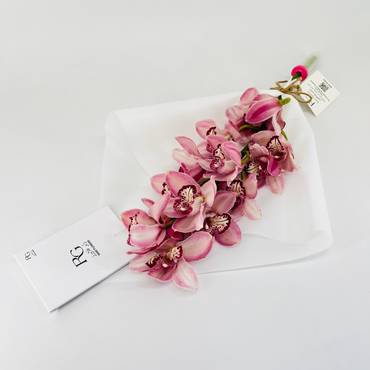 صورة مصغرة 3