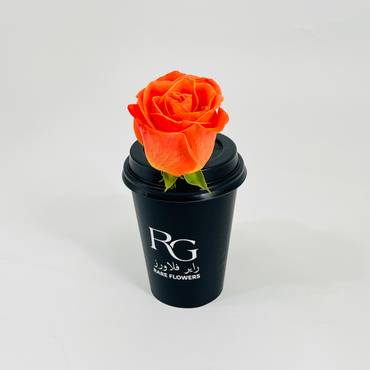 صورة مصغرة 3