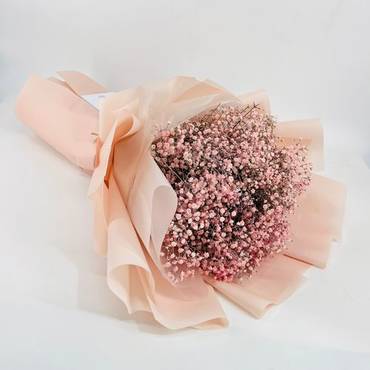 صورة مصغرة 1