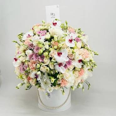 صورة مصغرة 2