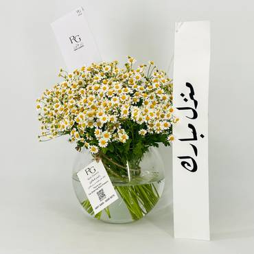 صورة مصغرة 4