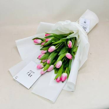 صورة مصغرة 3