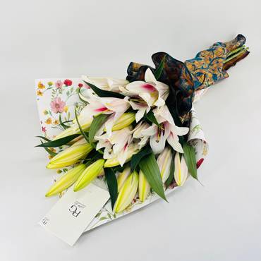 صورة مصغرة 2