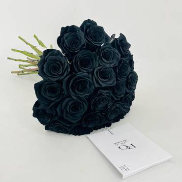 صورة مصغرة 3