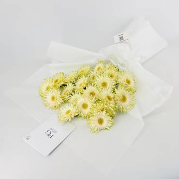 صورة مصغرة 2