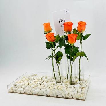 صورة مصغرة 3