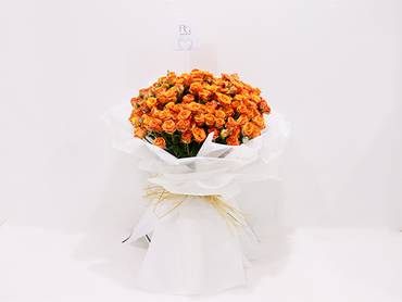 صورة مصغرة 3