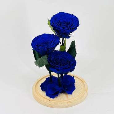 صورة مصغرة 3