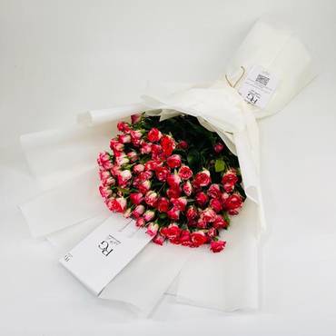 صورة مصغرة 3