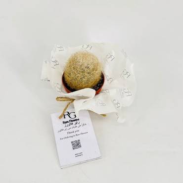 صورة مصغرة 3