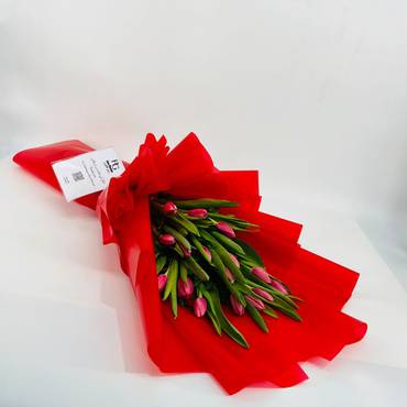 صورة مصغرة 1