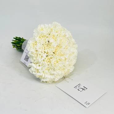 صورة مصغرة 1