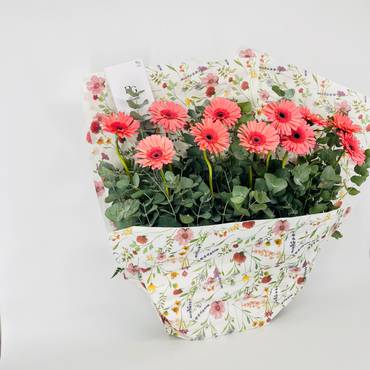 صورة مصغرة 3