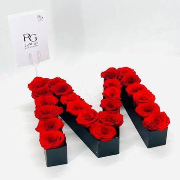 صورة مصغرة 3