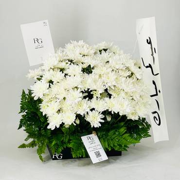 صورة مصغرة 3