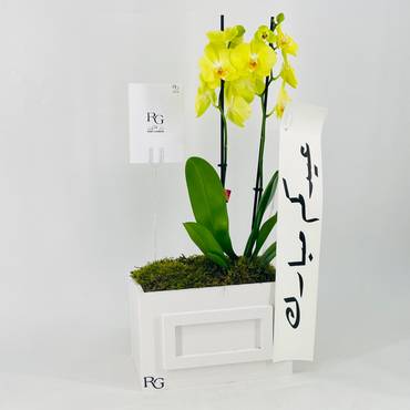 صورة مصغرة 2