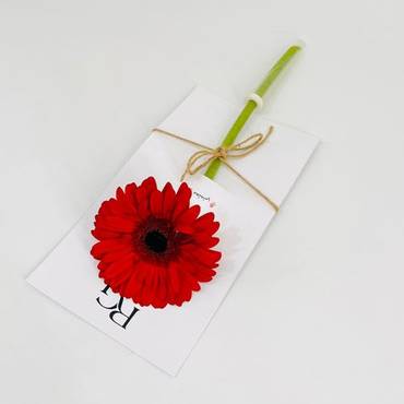 صورة مصغرة 3