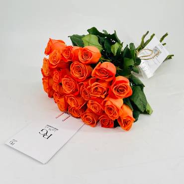 صورة مصغرة 3