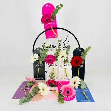 صورة مصغرة 1