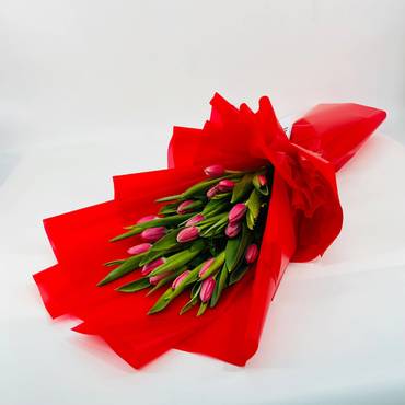 صورة مصغرة 2