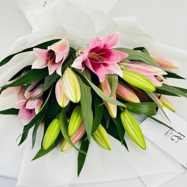 صورة مصغرة 4