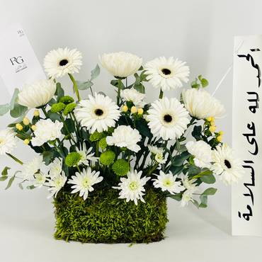 صورة مصغرة 2