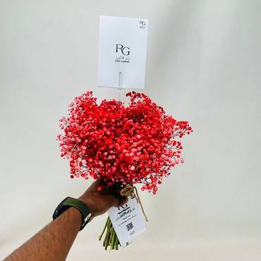 صورة مصغرة 3