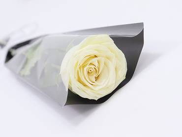 صورة مصغرة 3