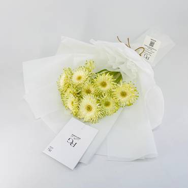 صورة مصغرة 3