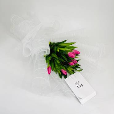 صورة مصغرة 1