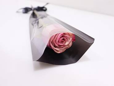 صورة مصغرة 4