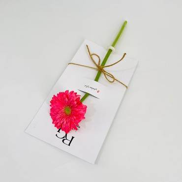 صورة مصغرة 3