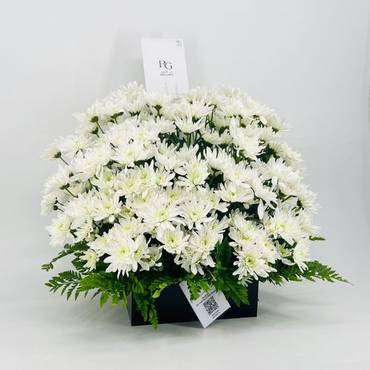 صورة مصغرة 2
