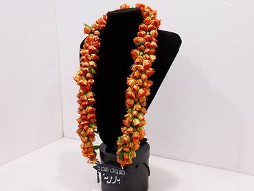 صورة مصغرة 2