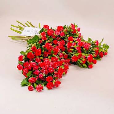 صورة مصغرة 1