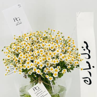 صورة مصغرة 5