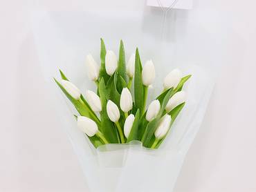 صورة مصغرة 2