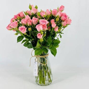 صورة مصغرة 3