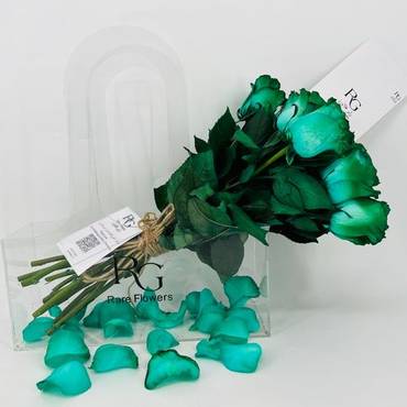 صورة مصغرة 3