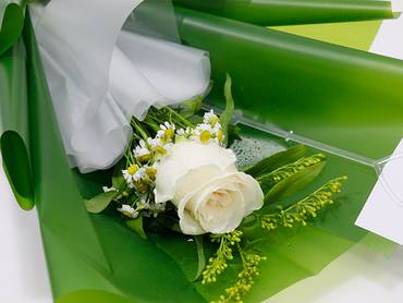 صورة مصغرة 3