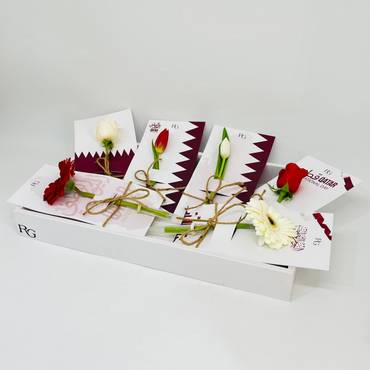 صورة مصغرة 2