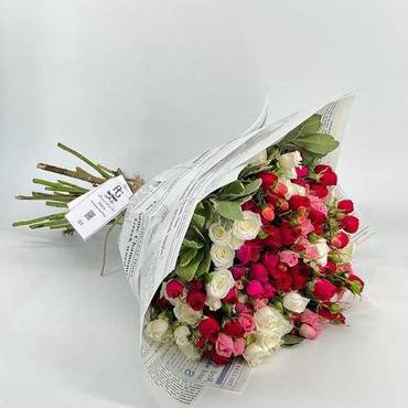 صورة مصغرة 1