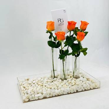 صورة مصغرة 2